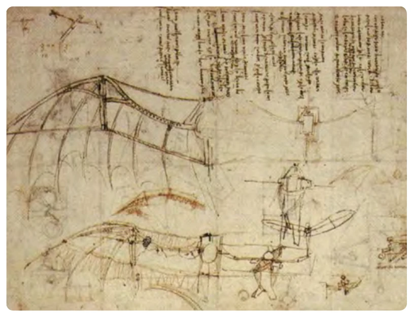 Leonardo da Vinci’s ornithopter wings.