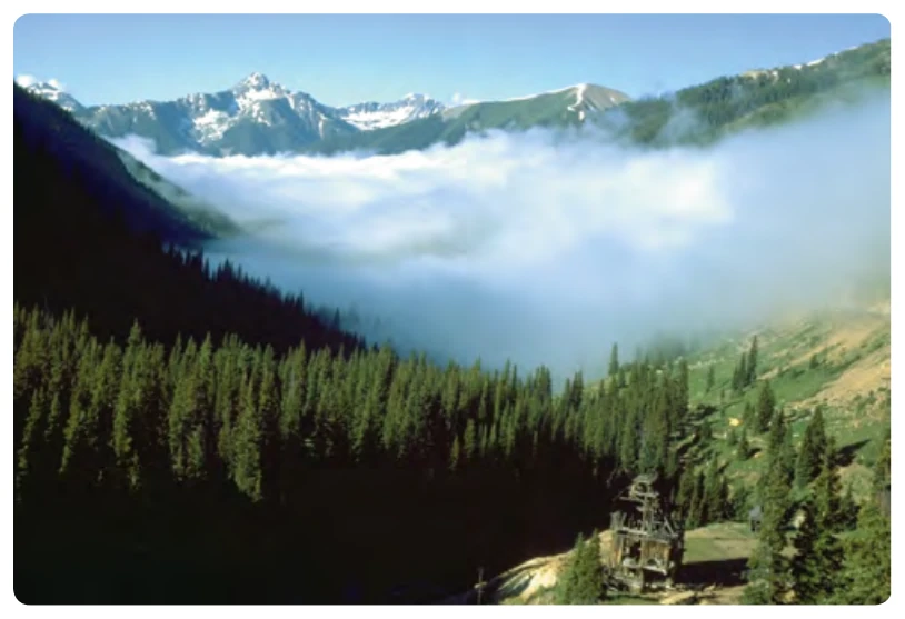 Radiation fog.