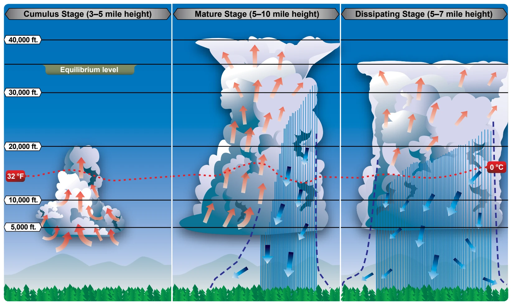 Life cycle of a thunderstorm.