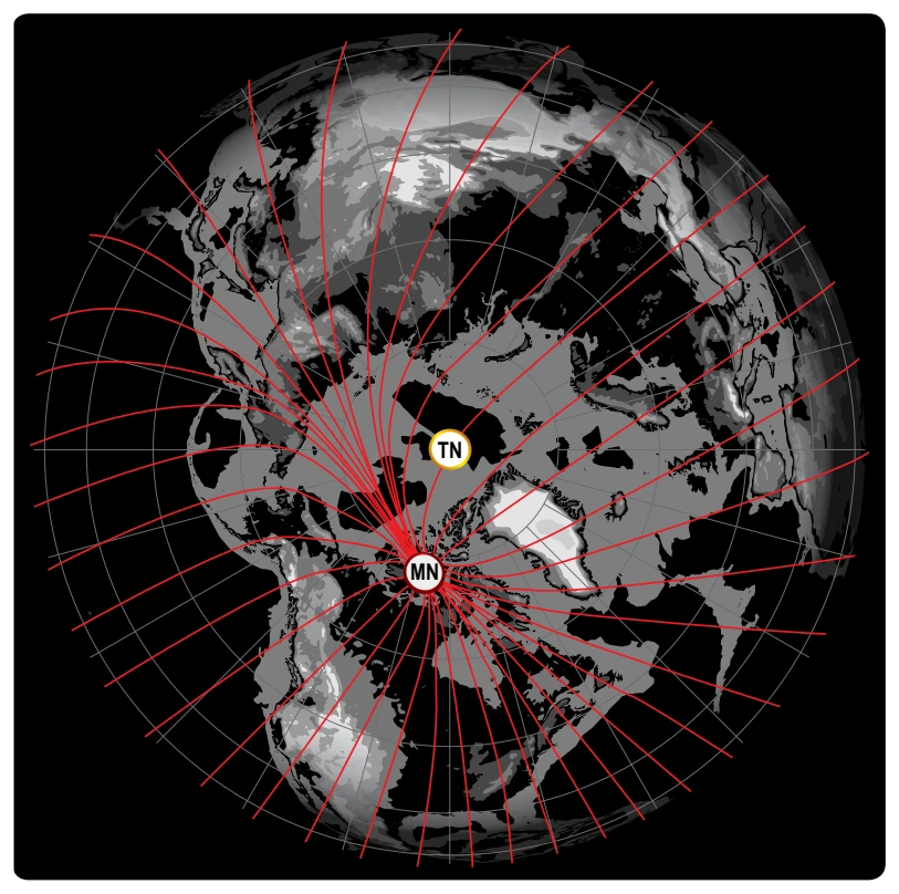 Magnetic meridians are in red while the lines of longitude and latitude are in blue. From these lines of variation (magnetic meridians), one can determine the effect of local magnetic variations on a magnetic compass.