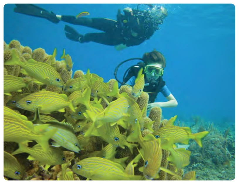 To avoid the bends, scuba divers must not fly for specific time periods following dives.