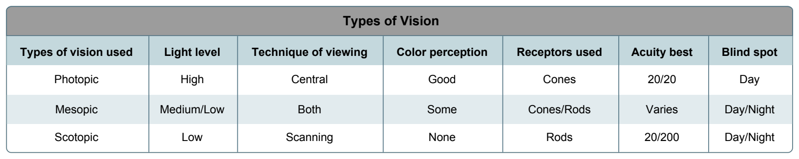 Types of vision.