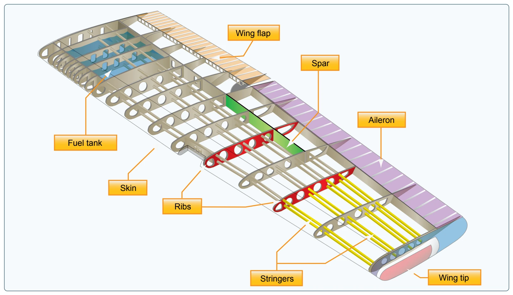 Wing components.