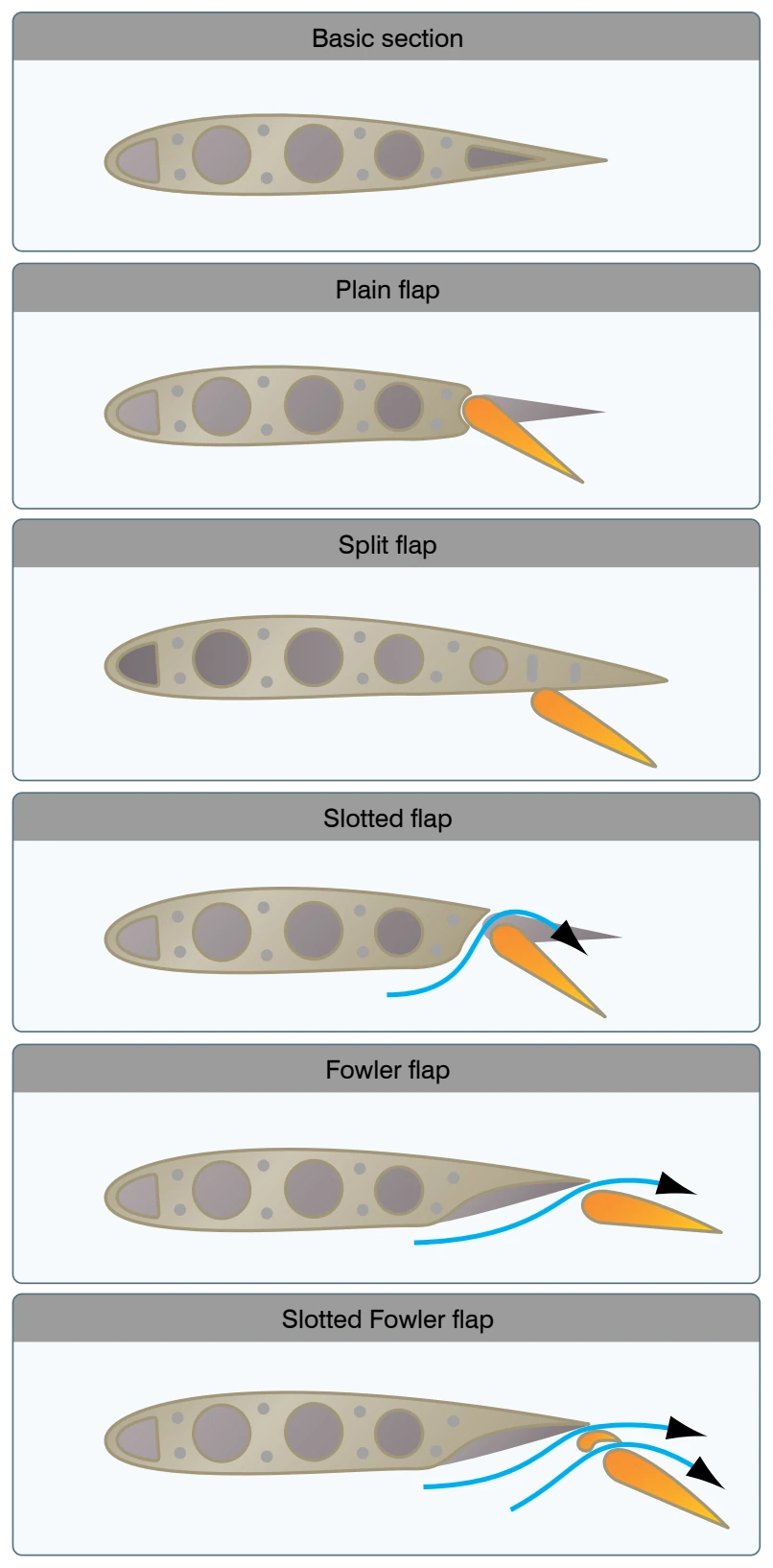 Types of flaps.