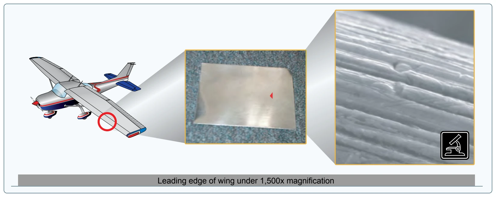 Microscopic surface of a wing.