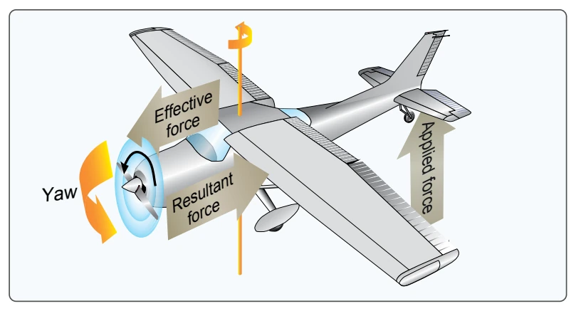 Raising tail produces gyroscopic precession.